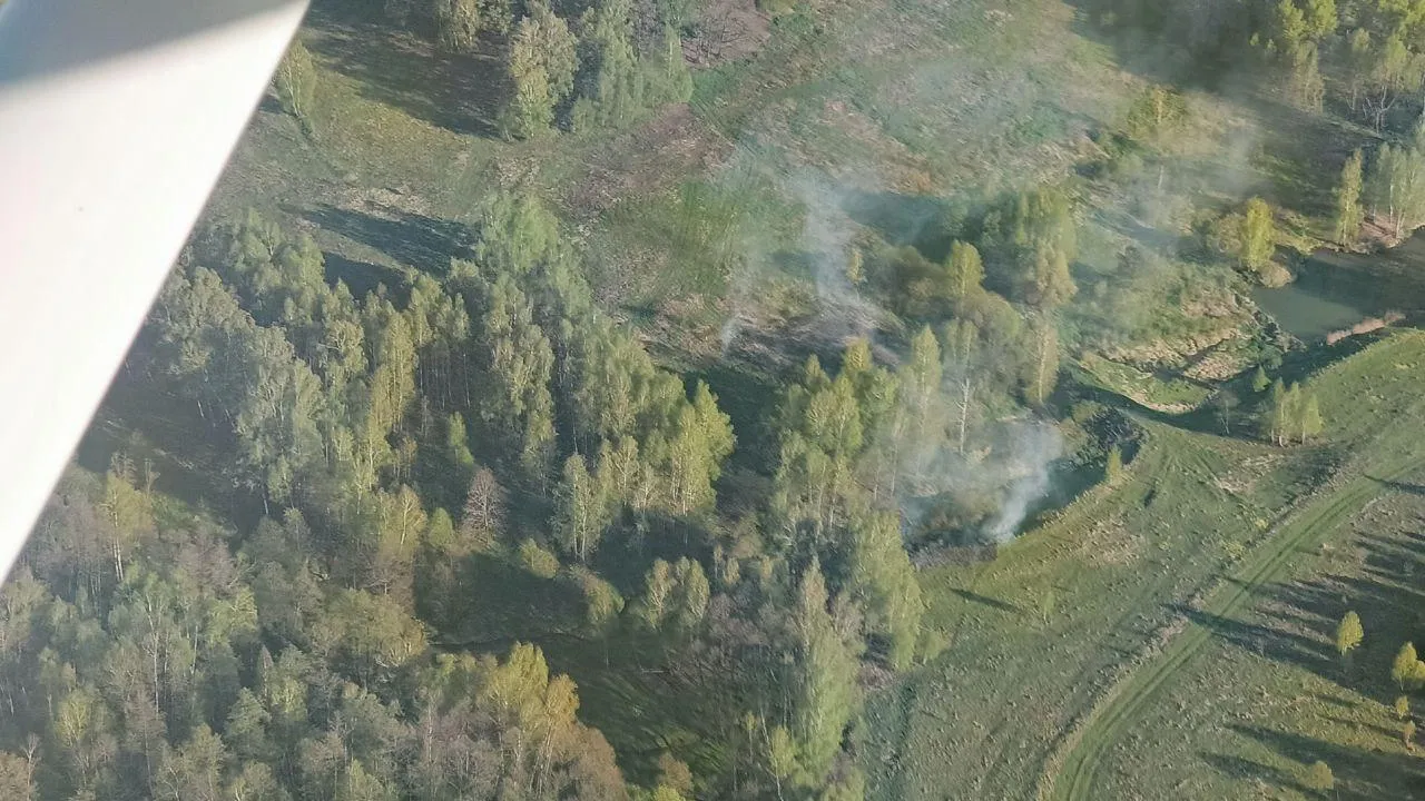 Фото: Комитет лесного хозяйства Московской области