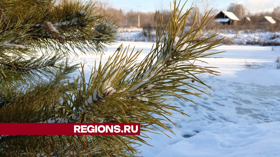 Фото: REGIONS/Василий Тремасов