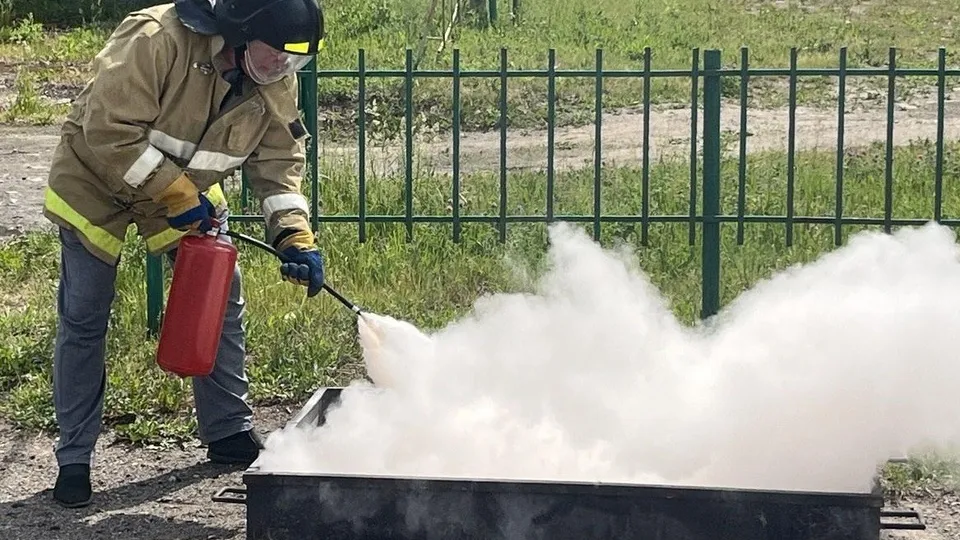 Фото: Министерство образования Московской области