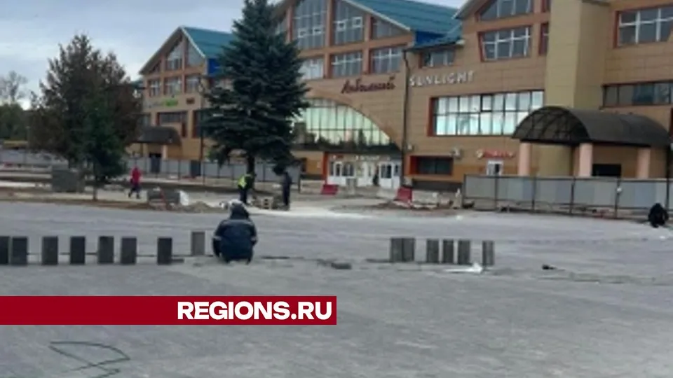 Фото: пресс-служба Министерства благоустройства Московской области