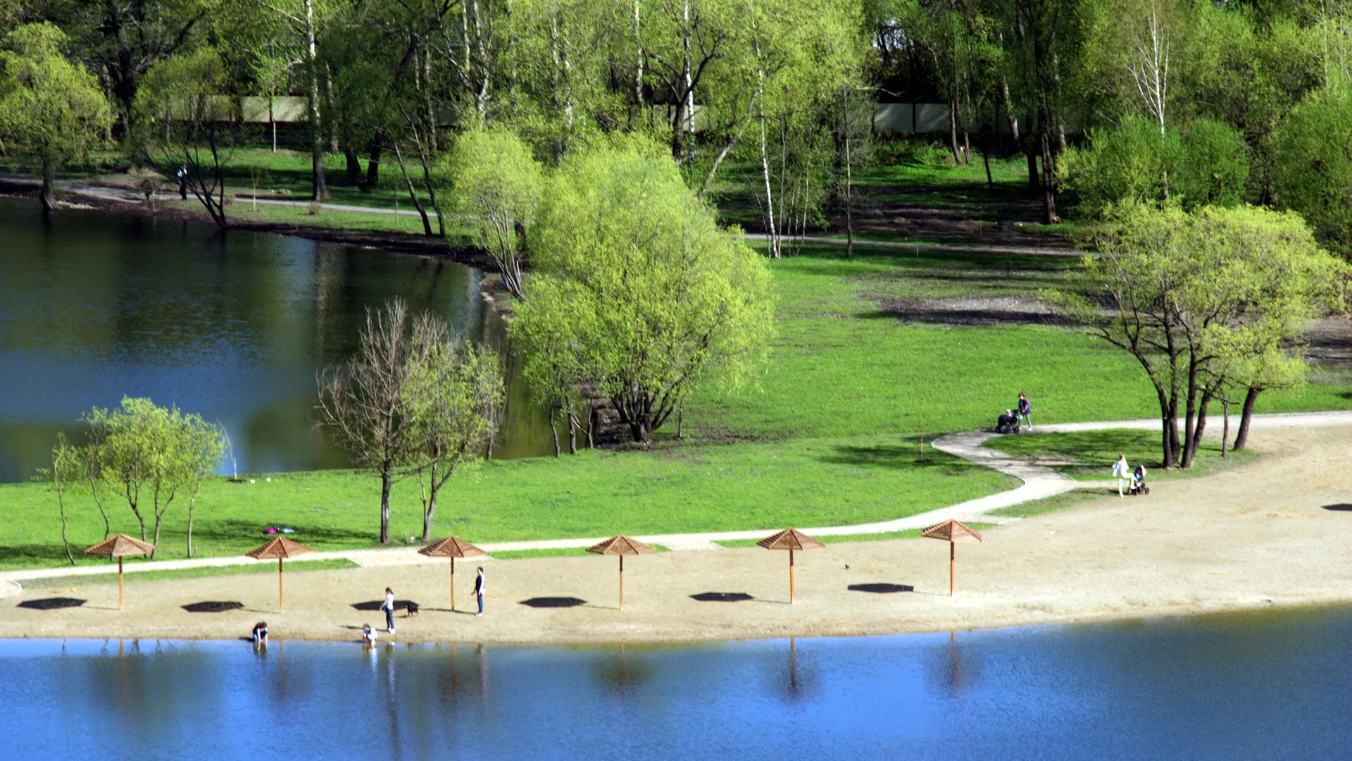 Фото: Александр Легкий<br>