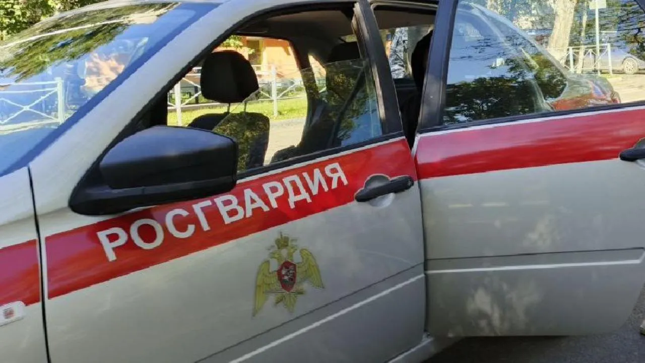 Картинка