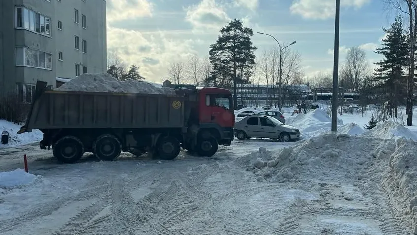 Фото: пресс-служба администрации г.о. Черноголовка