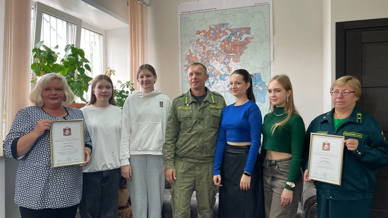 Фото: Комитет лесного хозяйства МО