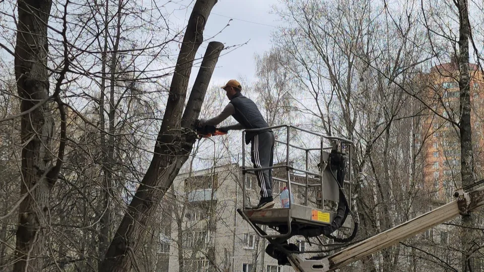 Фото: МедиаБанк Подмосковья/Максим Сафронов