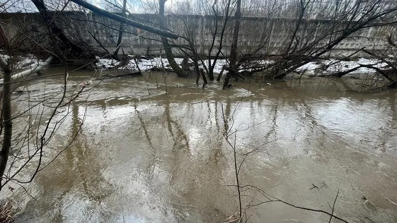 Фото: Министерство экологии МО