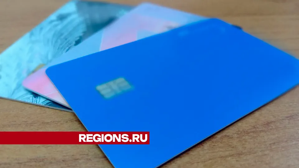 Фото: REGIONS/Василий Тремасов