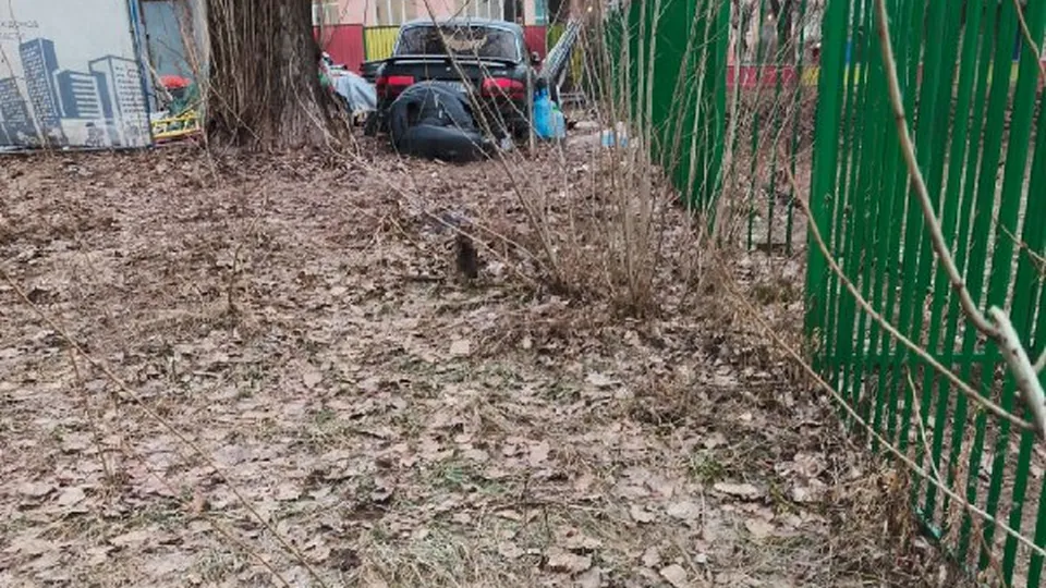 Фото: МЦУР Дзержинского