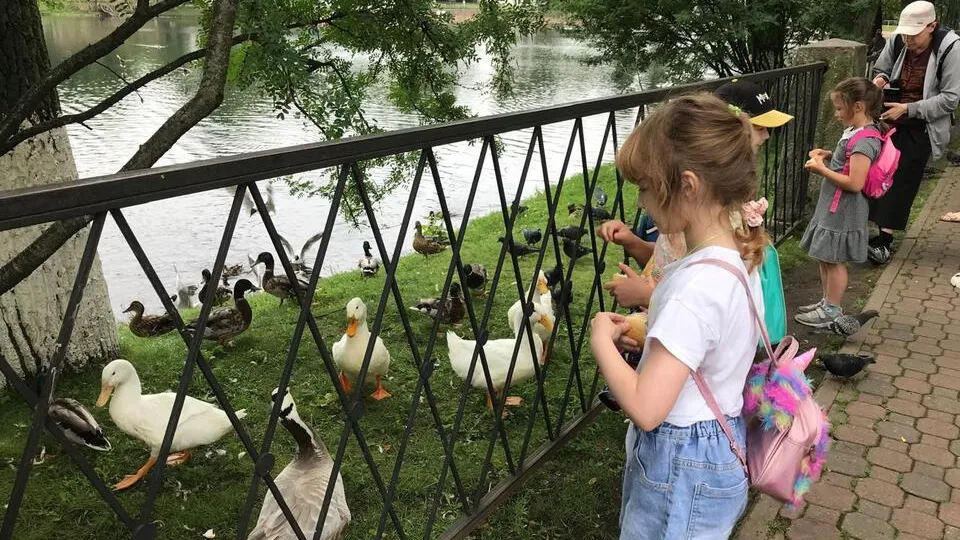 Фото: Елена Горбачева