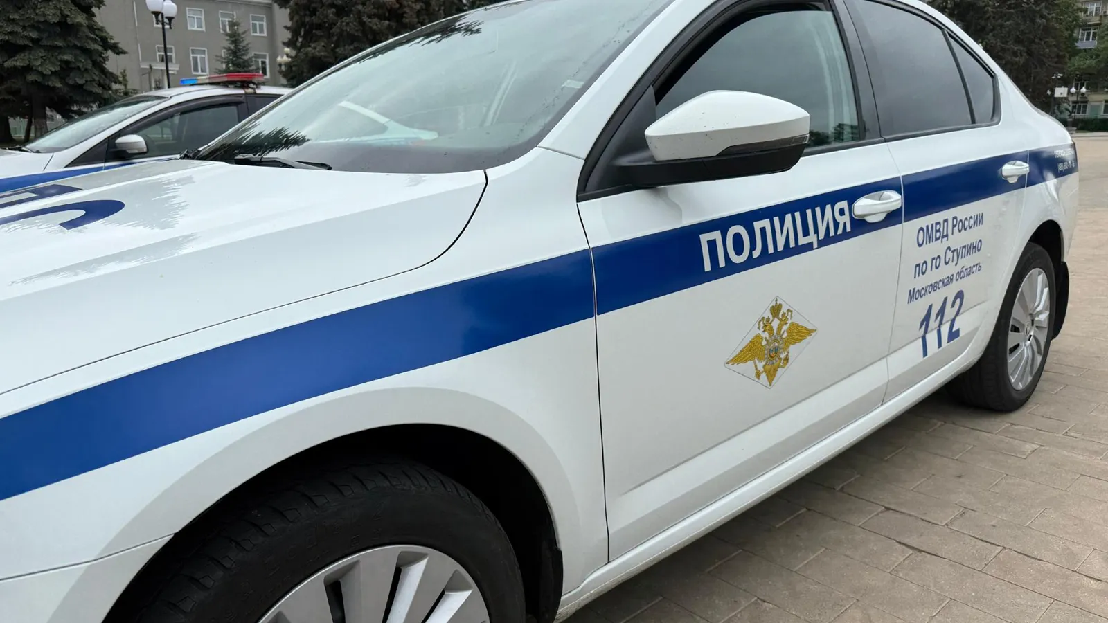 Фото: ОМВД России по г.о. Ступино