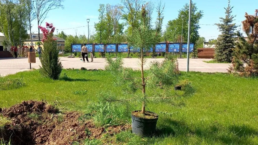 Фото: REGIONS/Олег Книжник