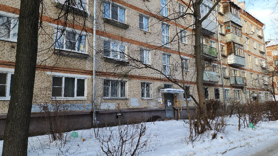 Фото: МедиаБанк Подмосковья/Мария Андрюхина