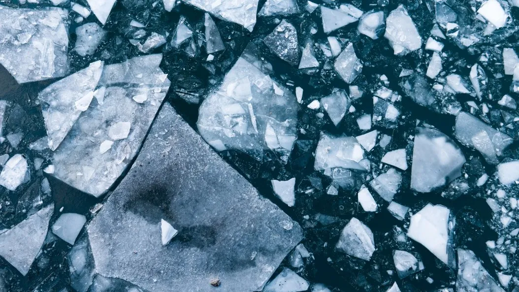 Фото: unsplash.com