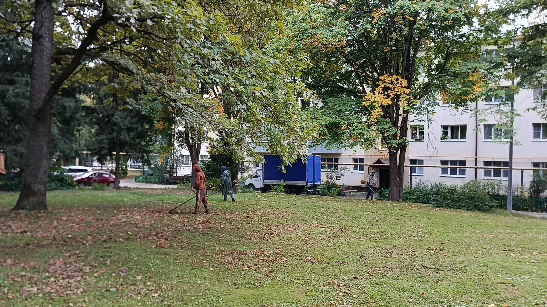 Картинка