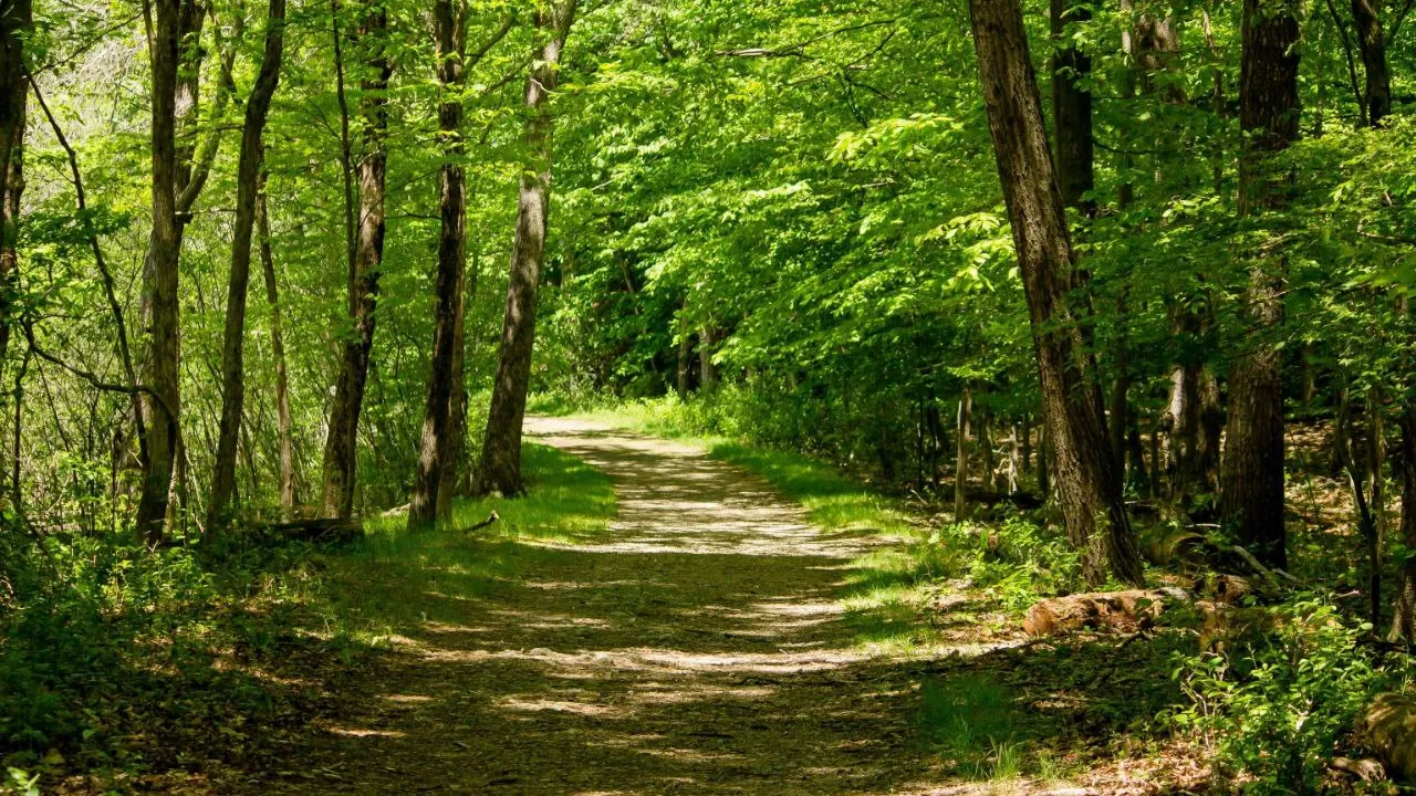 Фото: freepik.com